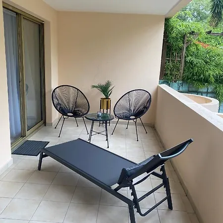 Elegant Close To Croisette And Palais De Festival With Garage